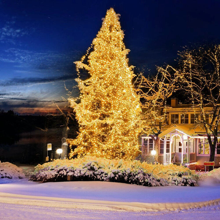 Christmas Tree Fairy String Party Lights 32FT